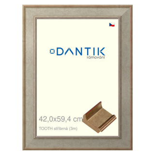 DANTIK rámeček 42x59,4 | TOOTH stříbrná (Plexi Čiré)