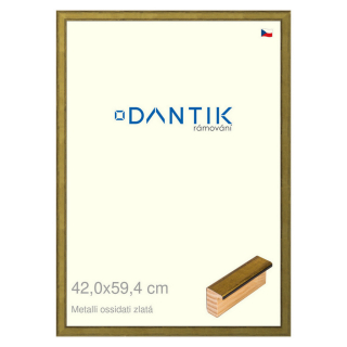 DANTIK rámeček 42x59,4 | Metalli oidati zlatá (Plexi Čiré)