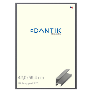 DANTIK rámeček 42x59,4 | ALU profil 6220 Ocelová (Plexi Čiré)