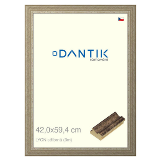 DANTIK rámeček 42x59,4 | LYON stříbrná (Plexi Čiré)