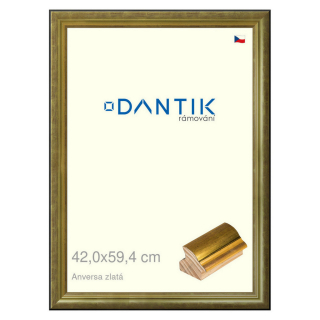 DANTIK rámeček 42x59,4 | ANIVERSA zlatá (Plexi Čiré)