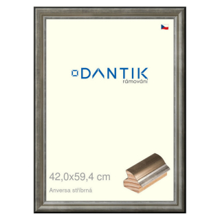 DANTIK rámeček 42x59,4 | ANIVERSA stříbrná (Plexi Čiré)