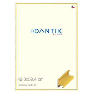 DANTIK rámeček 42x59,4 | ALU profil 6030 Dýha barevná žlutá citrus (Plexi Čiré)