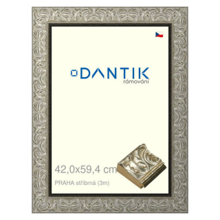 DANTIK rámeček 42x59,4 | PRAHA stříbrná (Plexi Čiré)