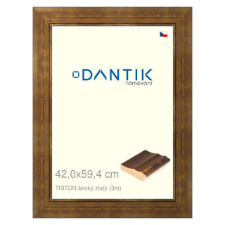 DANTIK rámeček 42x59,4 | TRITON široký zlatý (Plexi Čiré)