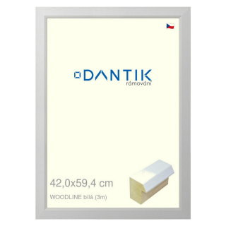 DANTIK rámeček 42x59,4 | WOODLINE bílá (Plexi Čiré)