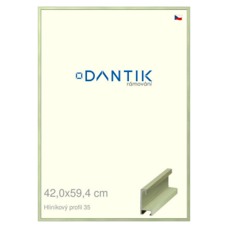 DANTIK rámeček 42x59,4 | ALU profil 6035 Dýha barevná zelená pastel (Plexi Čiré)