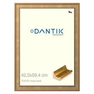DANTIK rámeček 42x59,4 | TOOTH malá zlatá (Plexi Čiré)