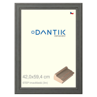 DANTIK rámeček 42x59,4 | STEP tmavěšedá (Plexi Čiré)