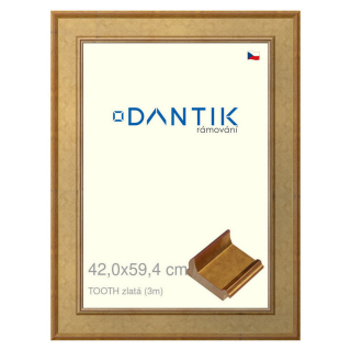 DANTIK rámeček 42x59,4 | TOOTH zlatá (Plexi Čiré)