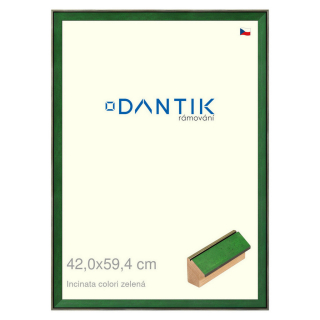 DANTIK rámeček 42x59,4 | INCLINATA colori zelená (Plexi Čiré)