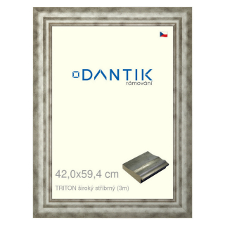 DANTIK rámeček 42x59,4 | TRITON široký stříbrný (Plexi Čiré)