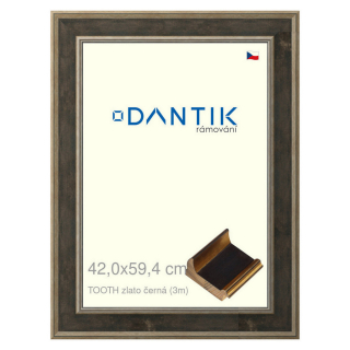 DANTIK rámeček 42x59,4 | TOOTH zlato černá (Plexi Čiré)