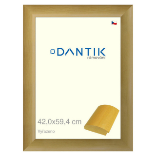 DANTIK rámeček 42x59,4 | Vyřazeno | RENÉ přírodní (Plexi Čiré)