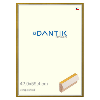 DANTIK rámeček 42x59,4 | EVOQUE žlutá (Plexi Čiré)