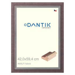 DANTIK rámeček 42x59,4 | AMALFI fialová (Plexi Čiré)