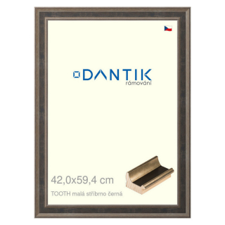 DANTIK rámeček 42x59,4 | TOOTH malá stříbrno černá (Plexi Čiré)