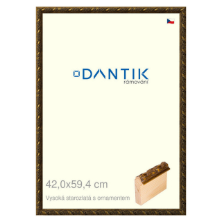 DANTIK rámeček 42x59,4 | Vysoká starozlatá s ornamentem (Plexi Čiré)
