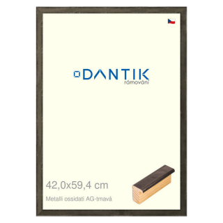 DANTIK rámeček 42x59,4 | Metalli oidati AG tmavá (Plexi Čiré)