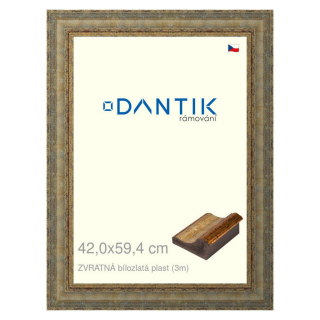 DANTIK rámeček 42x59,4 | ZVRATNÁ bílozlatá plast (Plexi Čiré)