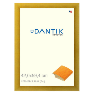 DANTIK rámeček 42x59,4 | LEDVINKA žlutá (Plexi Čiré)