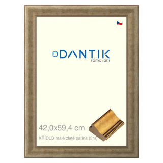 DANTIK rámeček 42x59,4 | KŘÍDLO malé zlaté patina (Plexi Čiré)