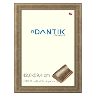 DANTIK rámeček 42x59,4 | KŘÍDLO malé stříbrné patina (Plexi Čiré)