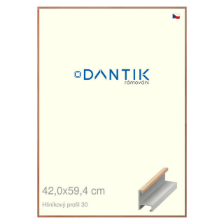 DANTIK rámeček 42x59,4 | ALU profil 6030 Dýha dub lak matný (Plexi Čiré)