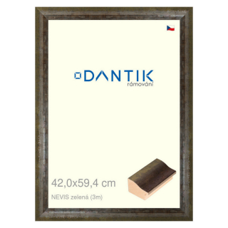 DANTIK rámeček 42x59,4 | NEVISzelená (Plexi Čiré)