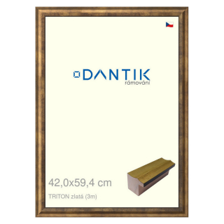 DANTIK rámeček 42x59,4 | TRITON zlatá (Plexi Čiré)
