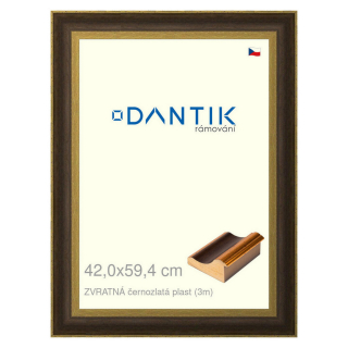 DANTIK rámeček 42x59,4 | ZVRATNÁ černozlatá plast (Plexi Čiré)