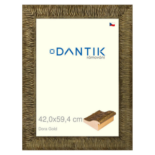 DANTIK rámeček 42x59,4 | Dora Gold (Plexi Čiré)