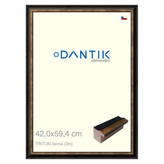 DANTIK rámeček 42x59,4 | TRITON černá (Plexi Čiré)