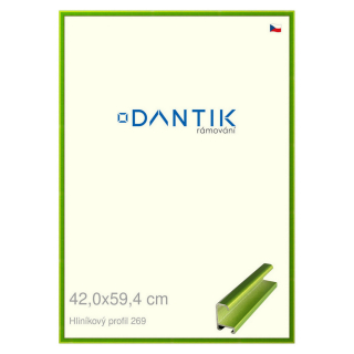 DANTIK rámeček 42x59,4 | ALU profil 7269 Zelená Smaragd broušená (Plexi Čiré)