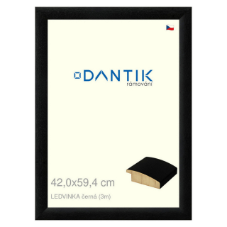 DANTIK rámeček 42x59,4 | LEDVINKA černá (Plexi Čiré)