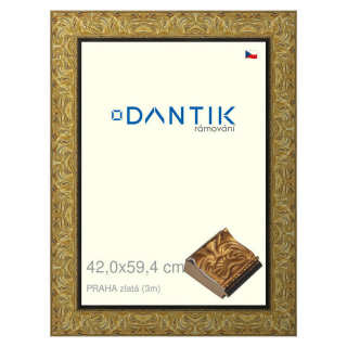 DANTIK rámeček 42x59,4 | PRAHA zlatá (Plexi Čiré)