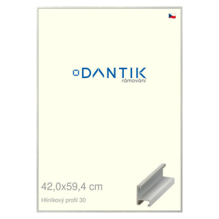 DANTIK rámeček 42x59,4 | ALU profil 6030 Dýha barevná šedá světlá (Plexi Čiré)