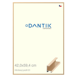 DANTIK rámeček 42x59,4 | ALU profil 6001 Zlatá lesklá (Plexi Čiré)