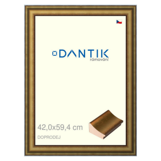 DANTIK rámeček 42x59,4 | Doprodej | METAL AU prohlá velká (Plexi Čiré)