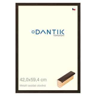DANTIK rámeček 42x59,4 | Metalli oidati olověná (Plexi Čiré)
