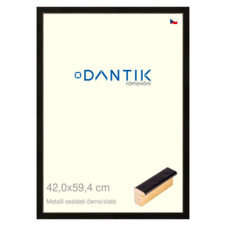 DANTIK rámeček 42x59,4 | Metalli oidati černozlatá (Plexi Čiré)