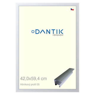 DANTIK rámeček 42x59,4 | ALU profil 7005 Stříbrná matná (Plexi Čiré)