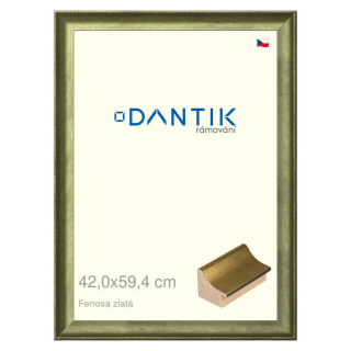 DANTIK rámeček 42x59,4 | Ferrosa zlatá (Plexi Čiré)