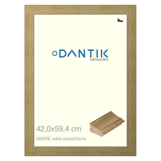 DANTIK rámeček 42x59,4 | ANDRÉ velká starostříbrná (Plexi Čiré)