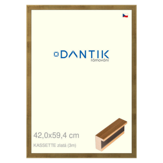 DANTIK rámeček 42x59,4 | KASSETTE zlatá (Plexi Čiré)