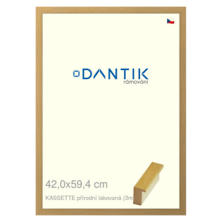DANTIK rámeček 42x59,4 | KASSETTE přírodní lakovaná (Plexi Čiré)