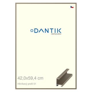 DANTIK rámeček 42x59,4 | ALU profil 6001 champagne (Plexi Čiré)