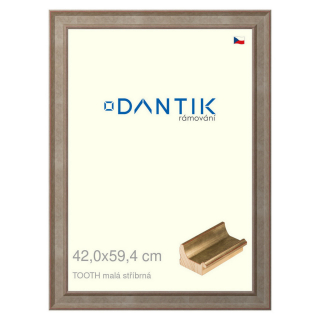 DANTIK rámeček 42x59,4 | TOOTH malá stříbrná (Plexi Čiré)