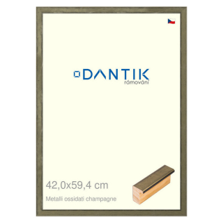 DANTIK rámeček 42x59,4 | Metalli oidati champagne (Plexi Čiré)
