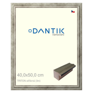 DANTIK rámeček 40x50 | TRITON stříbrná (Sklo Čiré)